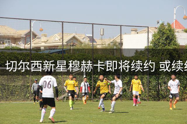 切尔西新星穆赫卡即将续约 或续约后外租历练