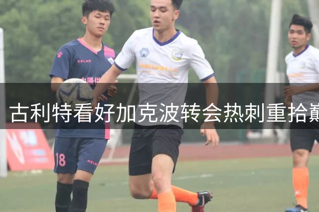 古利特看好加克波转会热刺重拾巅峰