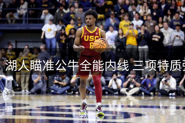 湖人瞄准公牛全能内线 三项特质弥补阵容软肋 26岁悍将成詹眉新帮手