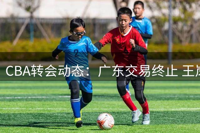 CBA转会动态：广东交易终止 王岚嵚加盟山东 胡金秋留守广厦